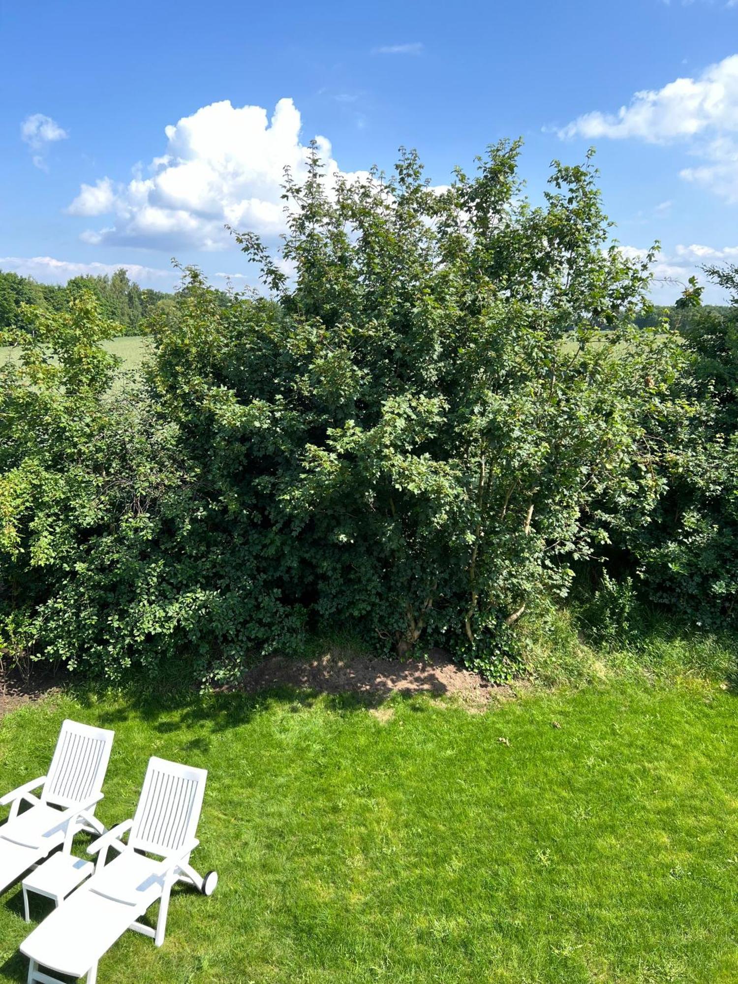 Haus Schoensee Heede Bagian luar foto